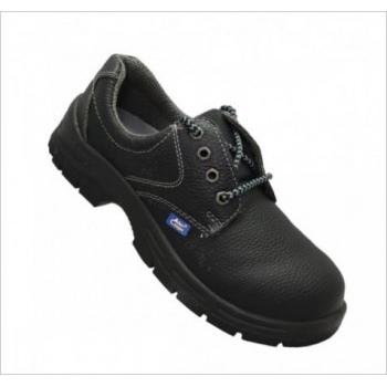 Allen Cooper AC-7001 Steel Toe Safety Shoes, Size: 12